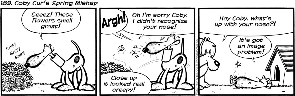 189. Coby Cur's Spring Mishap 