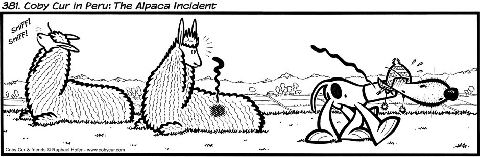 381. Coby Cur in Peru : The Alpaca Incident