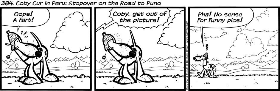 384. Coby Cur in Peru : Stopover on the Road to Puno  