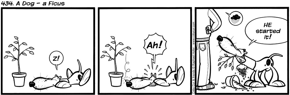 434. A Dog - a Ficus