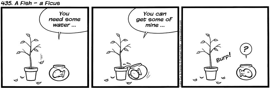435. A Fish - a Ficus