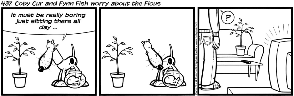 437. Coby Cur and Fynn Fish worry about the Ficus