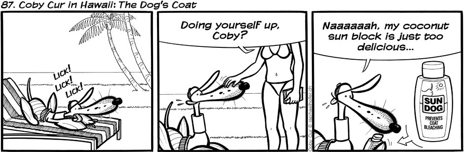 87. Coby Cur in Hawaii: The Dog’s Coat