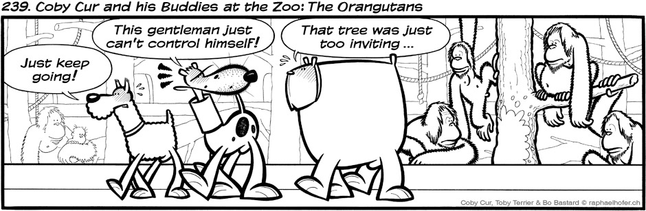 239. Coby Cur and his Buddies at the Zoo: The Orangutans